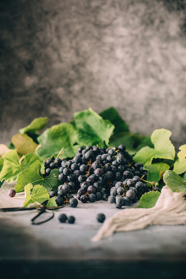 Blue grapes