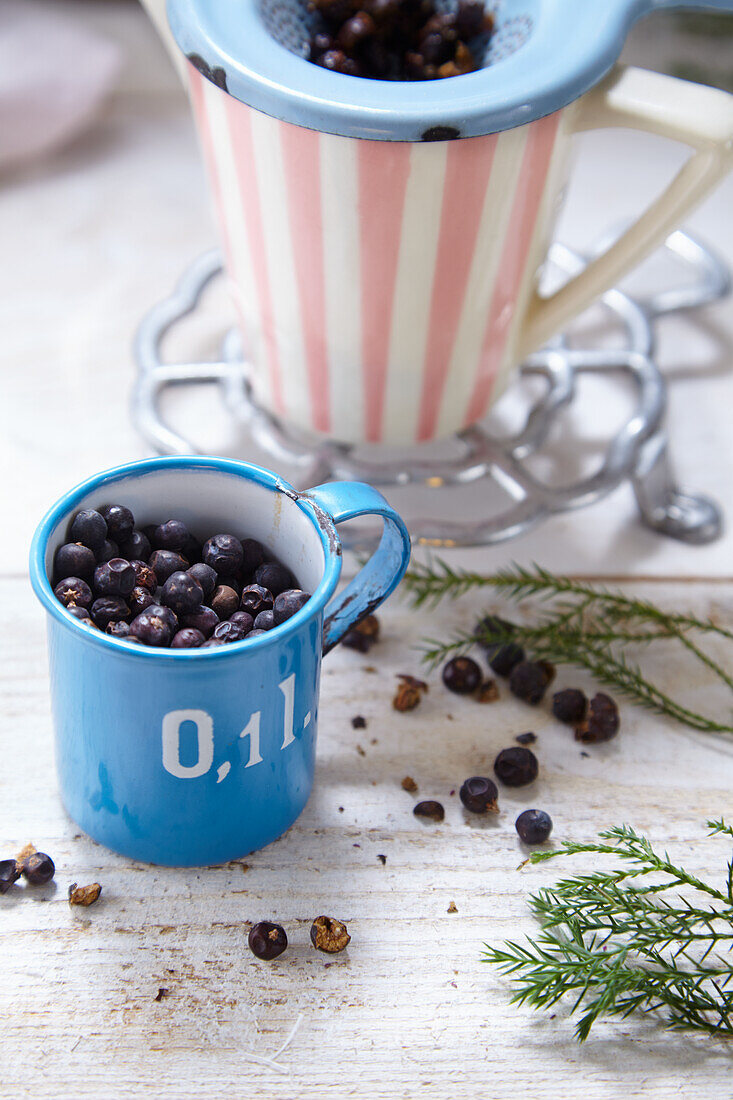 Juniper berries, juniper tea – DIY natural pharmacy