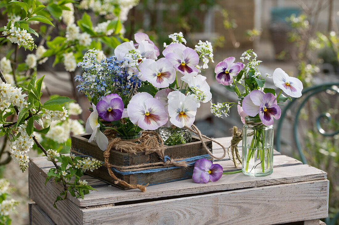 Forget-me-nots (Myosotis), bird cherry and violets in vases