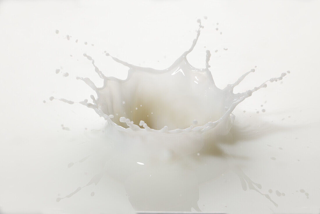 Milchsplash