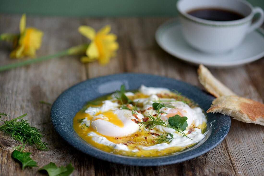 Cilbir - Turkish egg dish with bread and yoghurt sauce