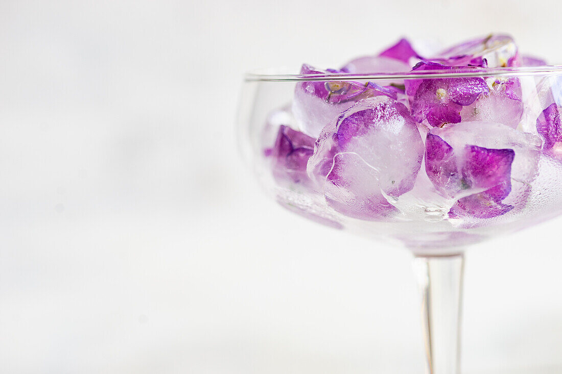 Glas mit violetten Hortensienblüten-Eiswürfeln