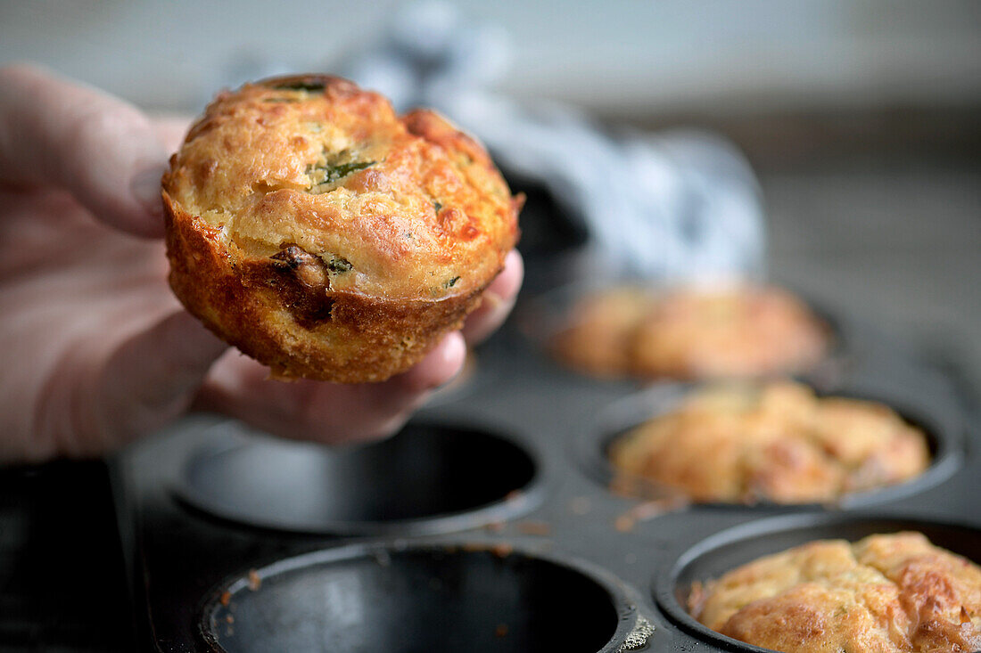 Hearty muffins with parmesan, basil and sun-dried tomatoes
