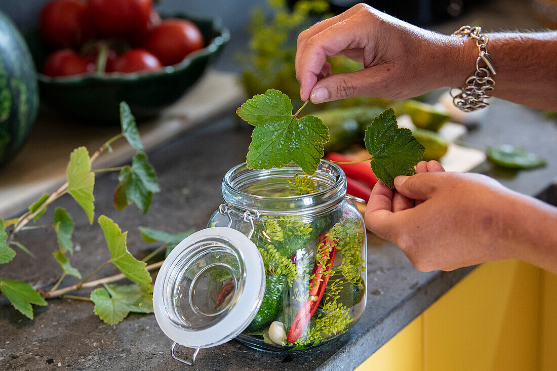 Quick pickled cucumbers with chili, garlic, and dill