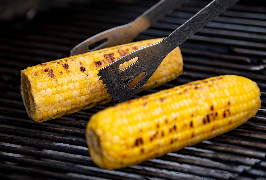 Grilled corn on the cob on the barbecue grill