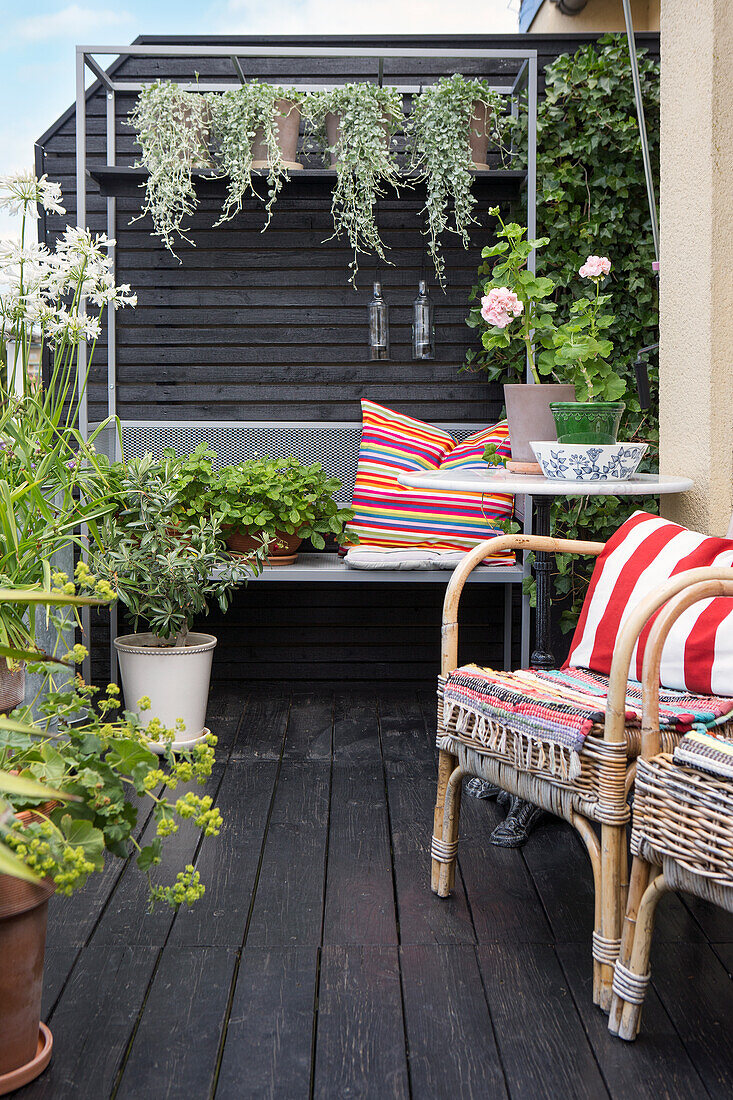 Wohnliche Terrasse mit Rattanstühlen, Sitzbank und Topfpflanzen