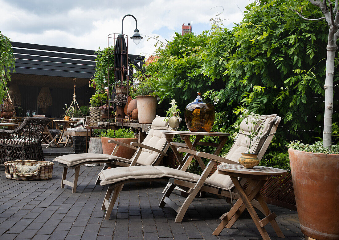 Liegestühle und Blauregen auf der Terrasse