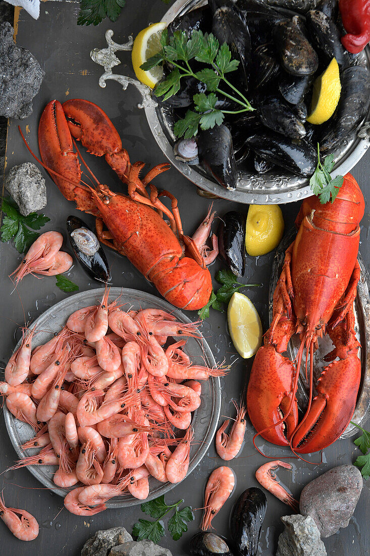 Meeresfrüchtestillleben mit Garnelen, Hummer und Miesmuscheln