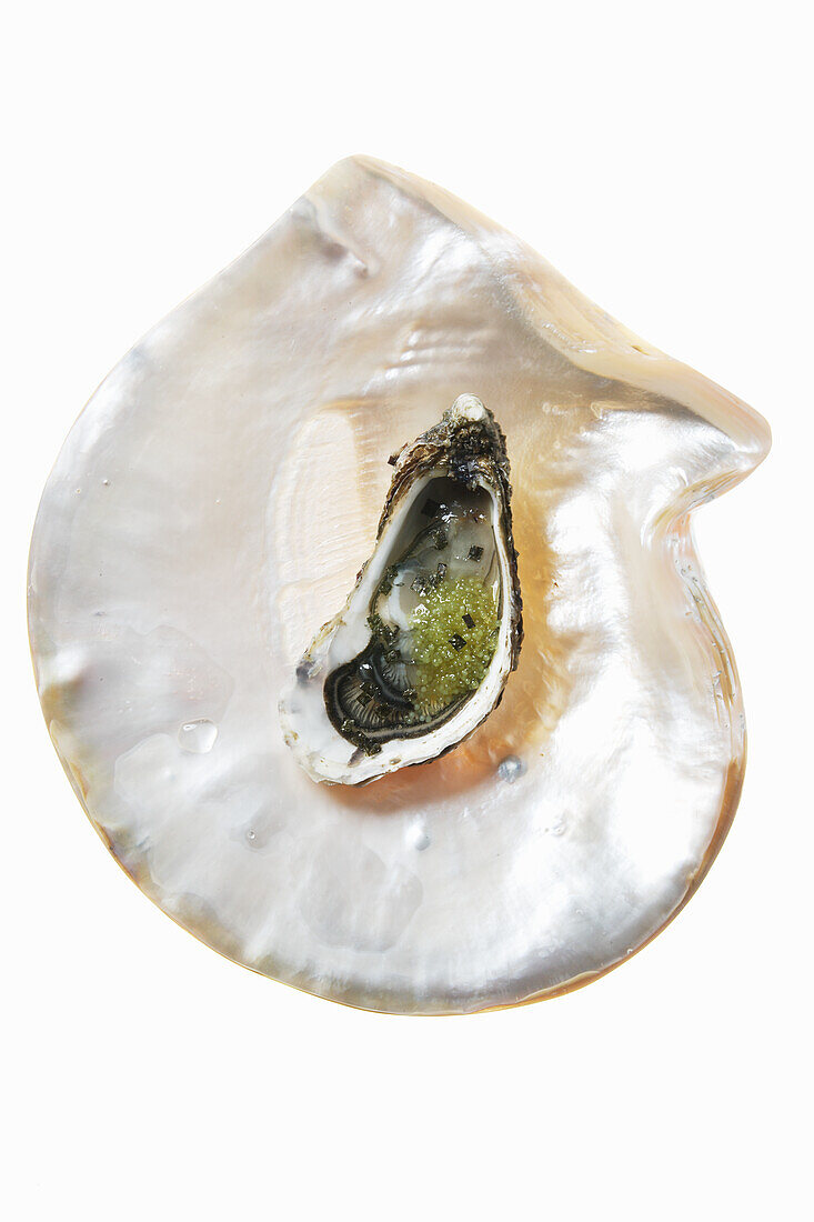 Auster mit Kaviar und Algen