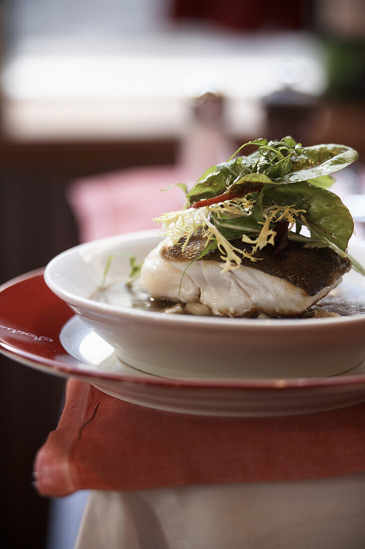 Cod on puy lentils