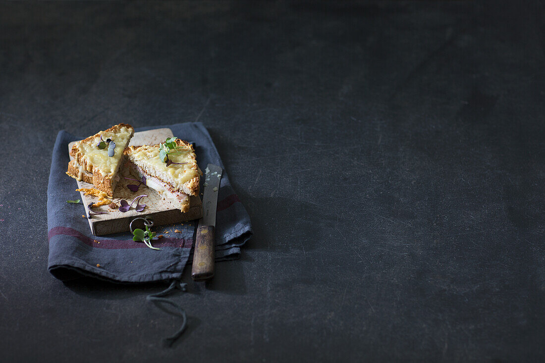 Croque monsieur toasted sandwich