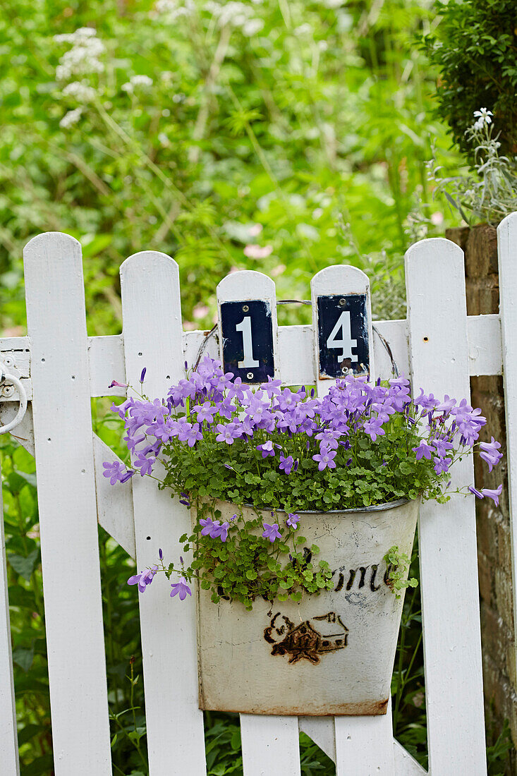 Vintage pot with flowers by the garden fence
