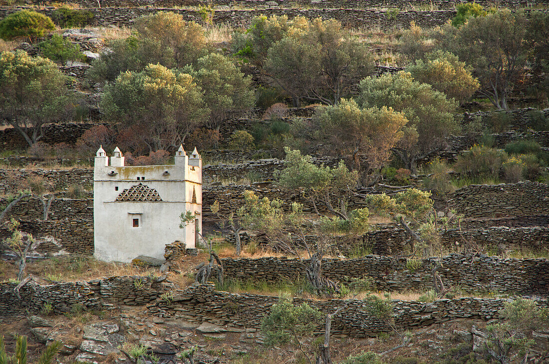 Kleine Kapelle bei Kastro, Insel Sifnos, Kykladen, Ägäis, Griechenland