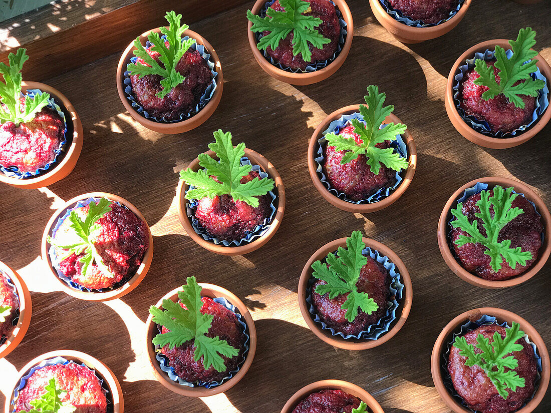 Pelargonium muffins baked in flower pots