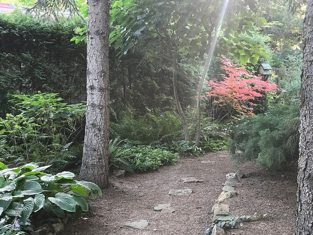 Schmaler Weg im üppig bewachsenem Garten