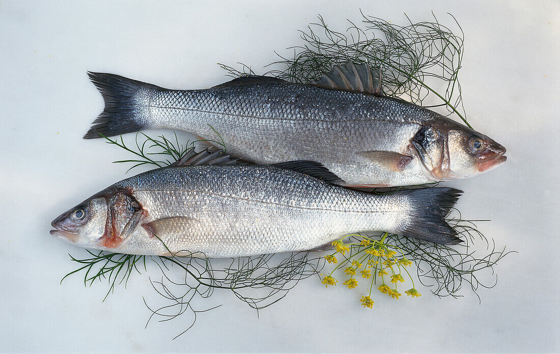 Two sea bass with dill on a light background