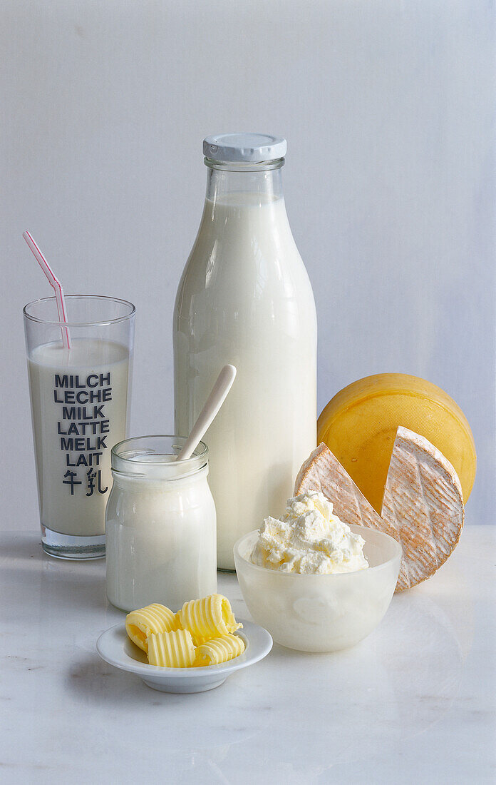 Dairy products: Milk, cheese, cream, yogurt, and butter