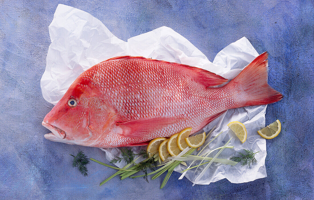 Red snapper on paper, arranged with lemon slices and leek pieces