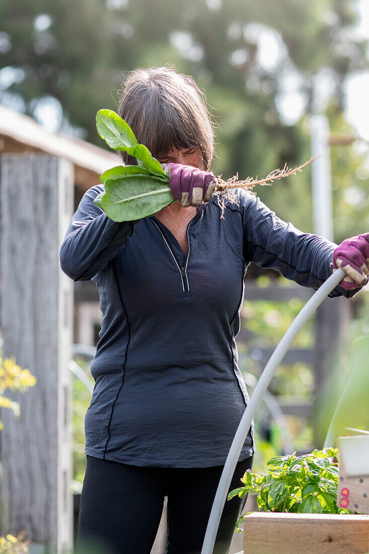 Australia, Melbourne, Woman working in community garden