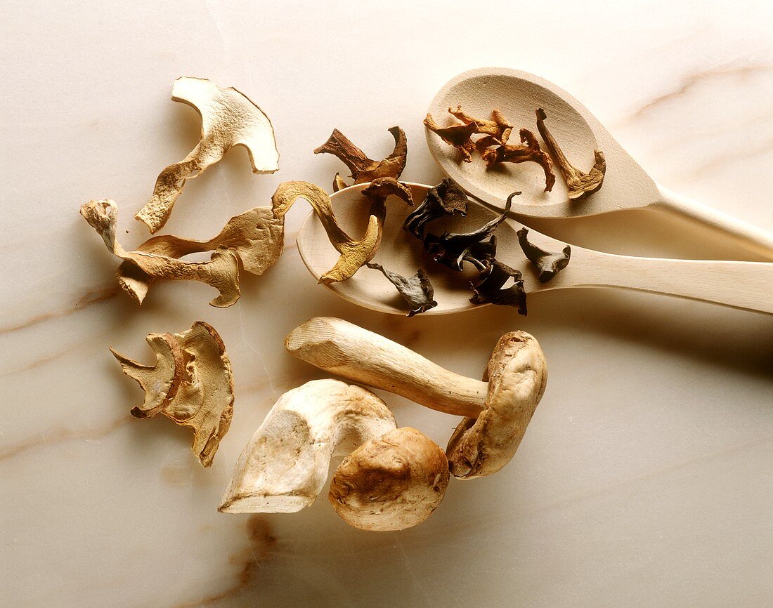 Various dried mushrooms