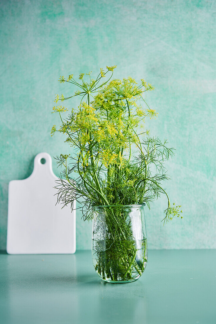 Dill mit Blüten im Glas