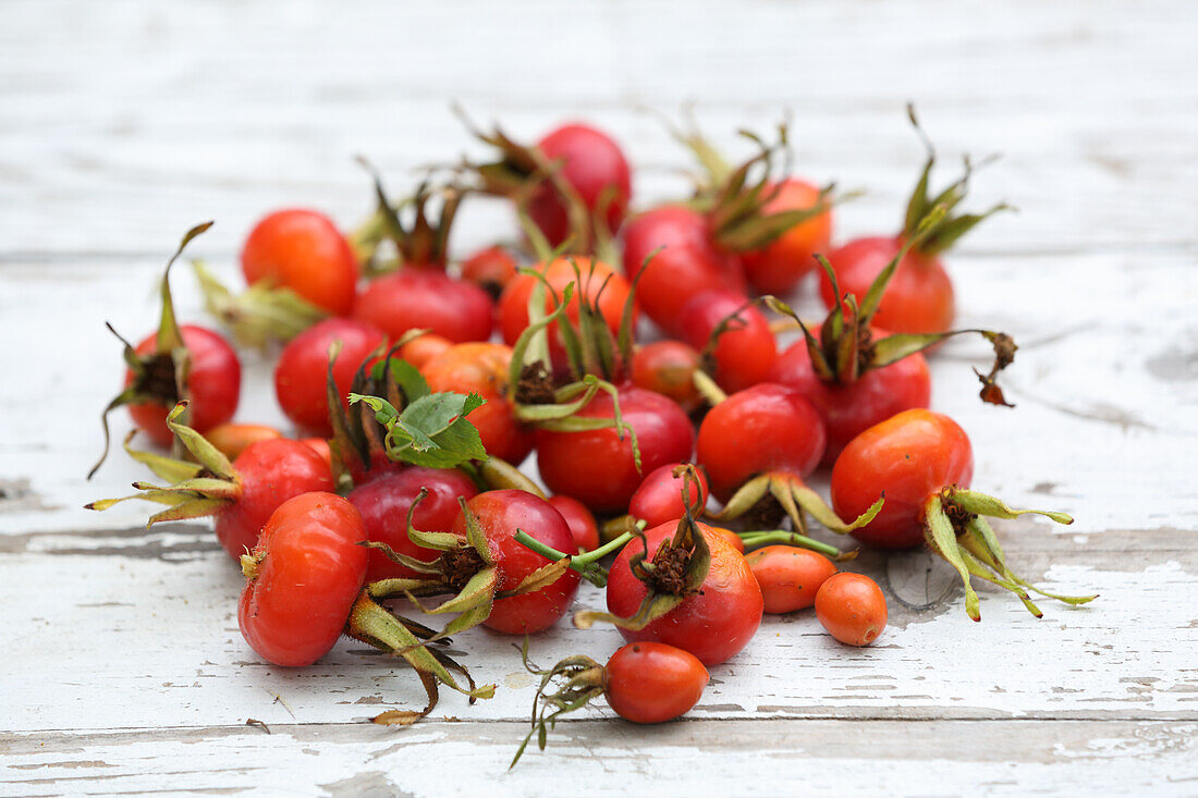 Rosehips