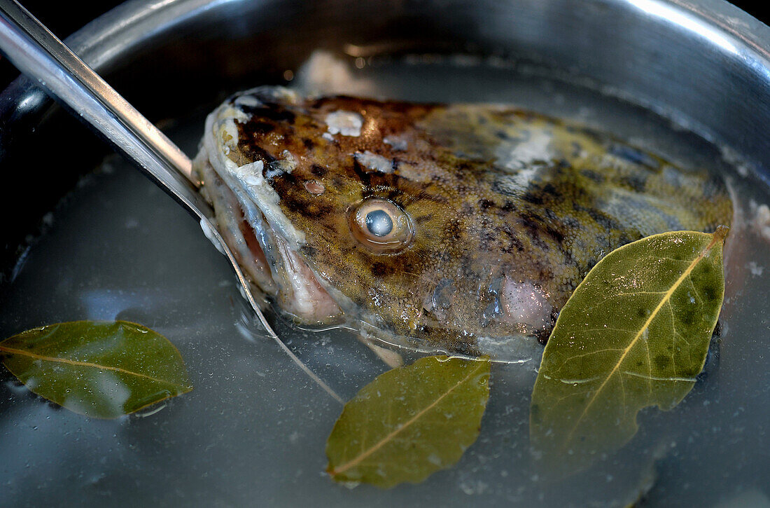 Cooking fish broth