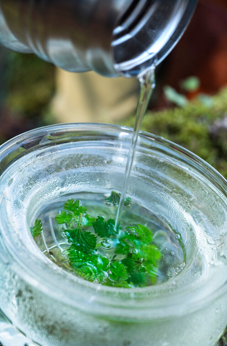 Herbal tea being made