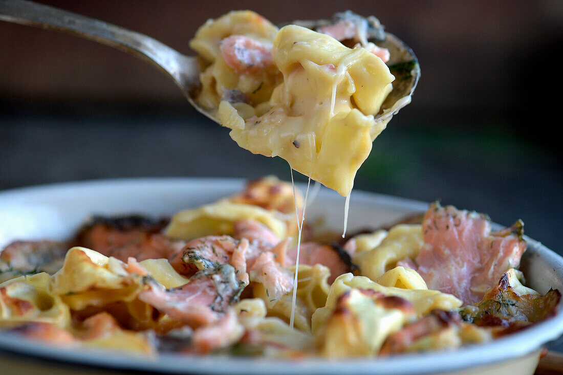 Mac and cheese with graved salmon (leftovers)