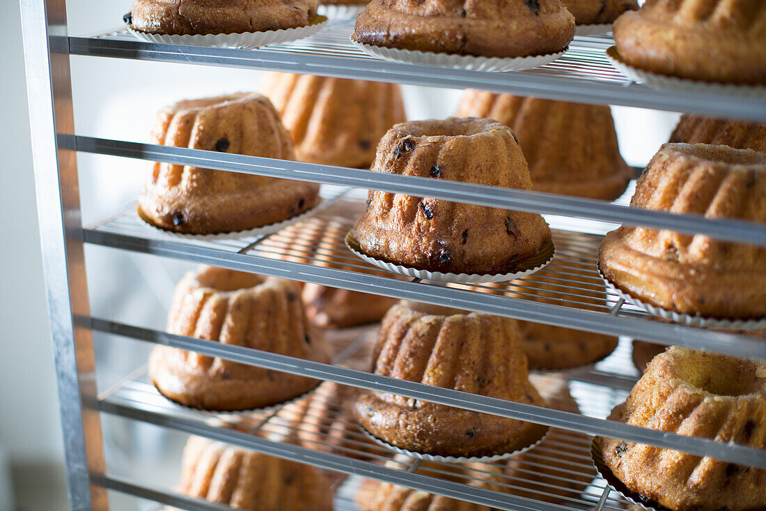 Bundt cakes on a shelf in a bakery