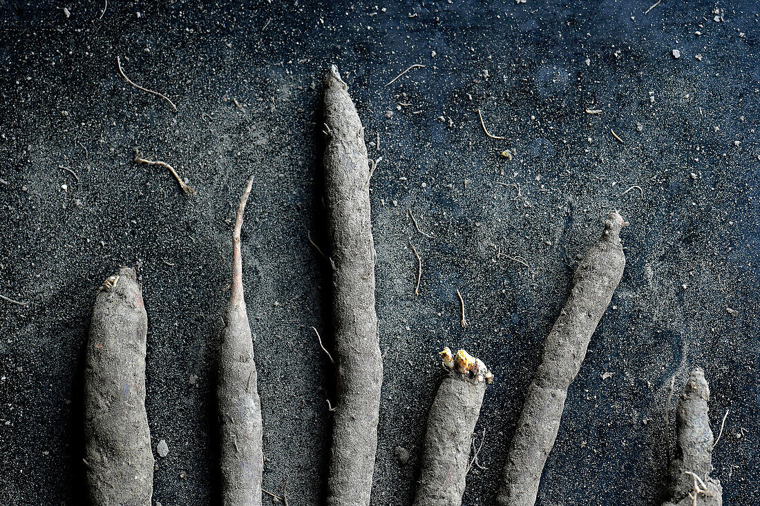 Unpeeled salsify