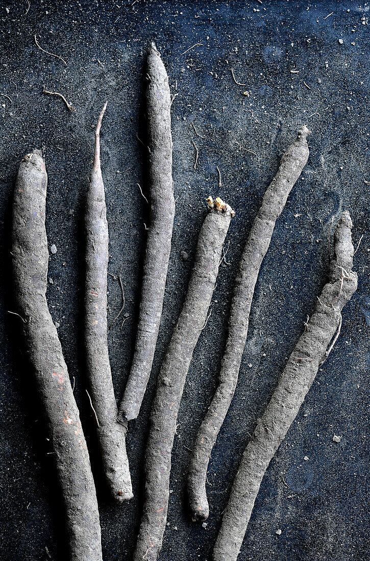 Unpeeled black salsify