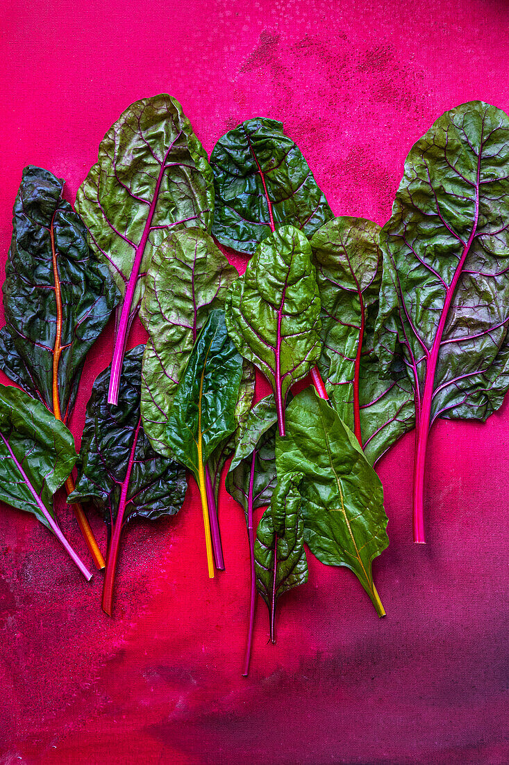 Fresh rainbow chard