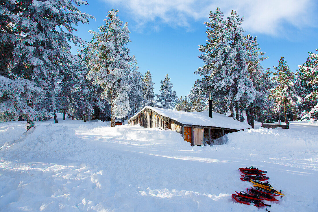 Einkehr bei Schneeschuhtour in Kleiner Hütte im verschneiten Wald, Plateau de Beille, bei Les Cabannes, Département Ariège, Pyrenäen, Okzitanien, Frankreich