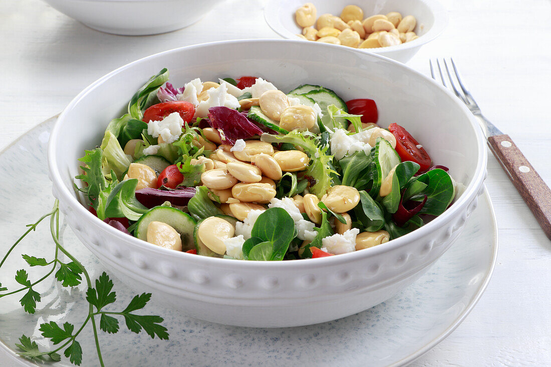 Lupinensalat mit Blattsalat, Gurke und Ziegenkäse