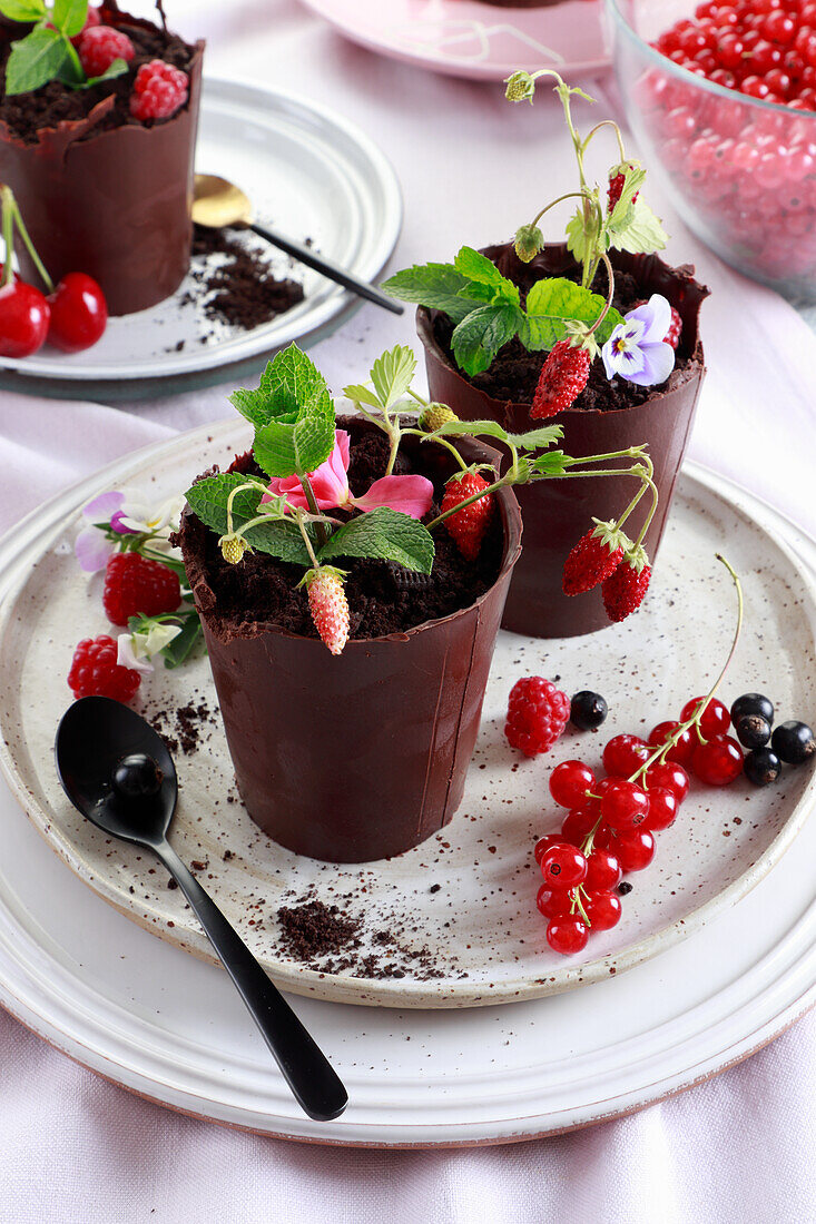 Chocolate pot filled with cream, fruit and biscuit crumbs decorated with a sprig of wild strawberries