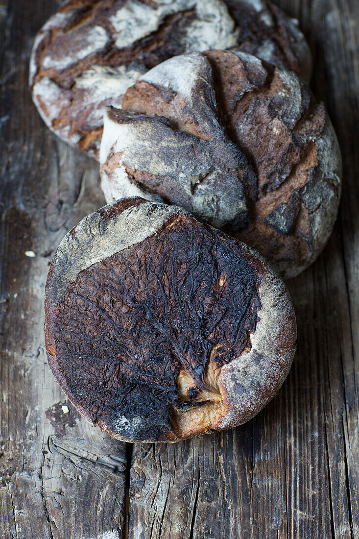 Frisch gebackenes Kohl-Speck-Brot