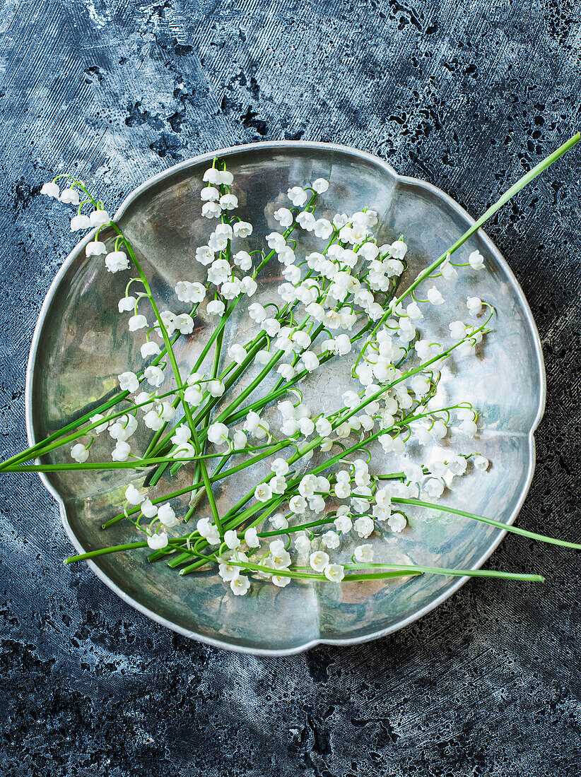 Lily of the valley on silver plate