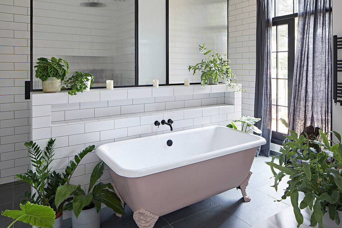 Freistehende Badewanne vor Trennwand und Zimmerpflanzen im Badezimmer