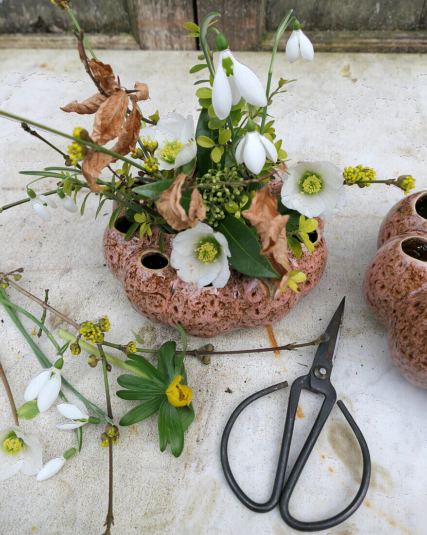 Flower arrangement of Cornelian cherry (Cornus Mass), snowdrop (Galanthus) and hellebore (Helleborus)