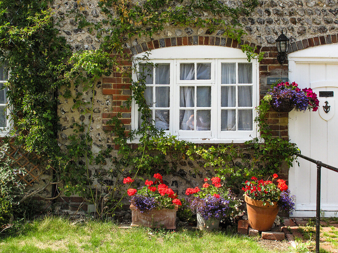 Begrüntes Backsteinhaus, davor Blumentöpfe (England)