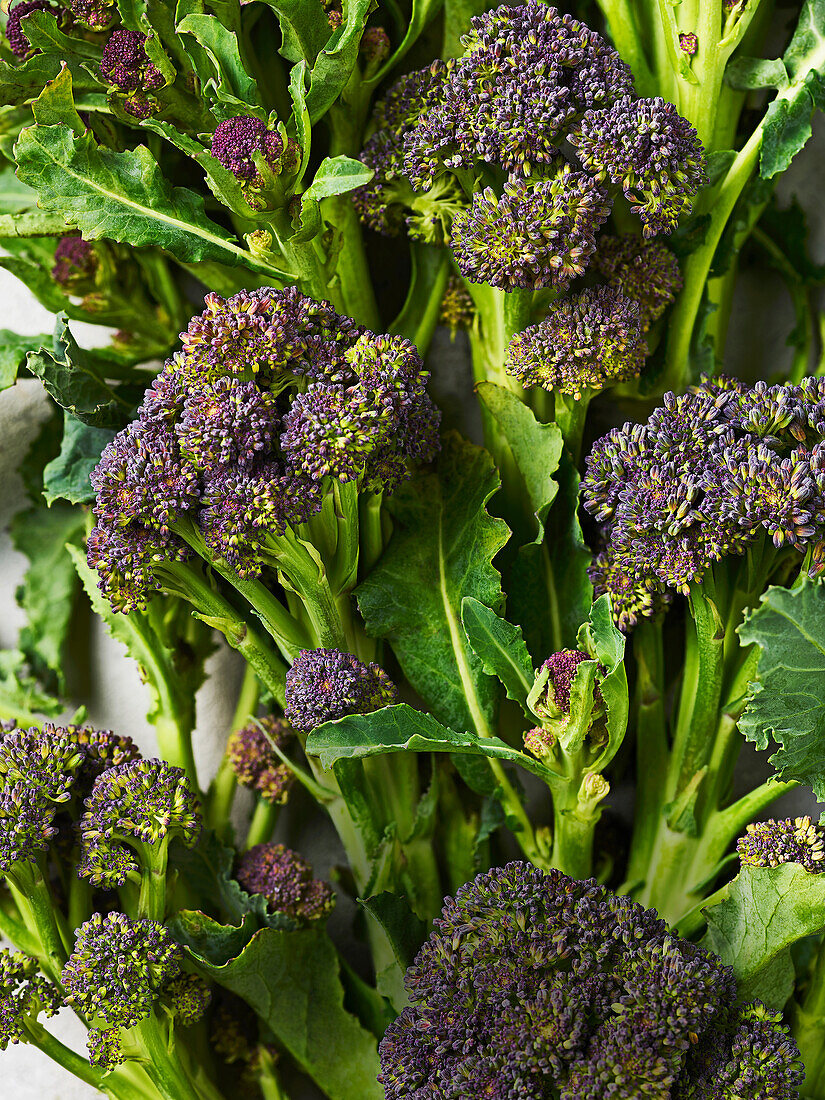 Purple sprouting broccoli