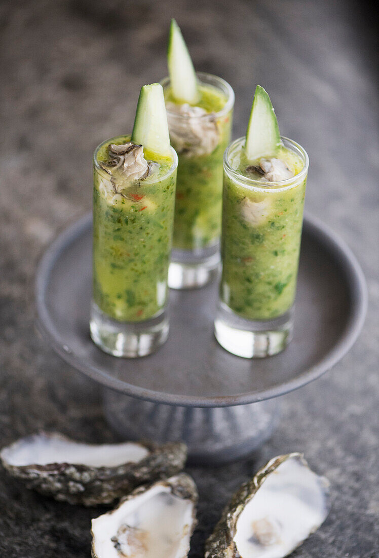 Cucumber gazpacho garnished with oysters