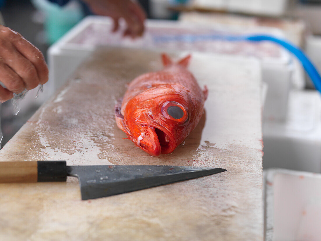 Frischer Fisch auf dem Tsukiji-Fischmarkt in Tokio, Japan, Asien