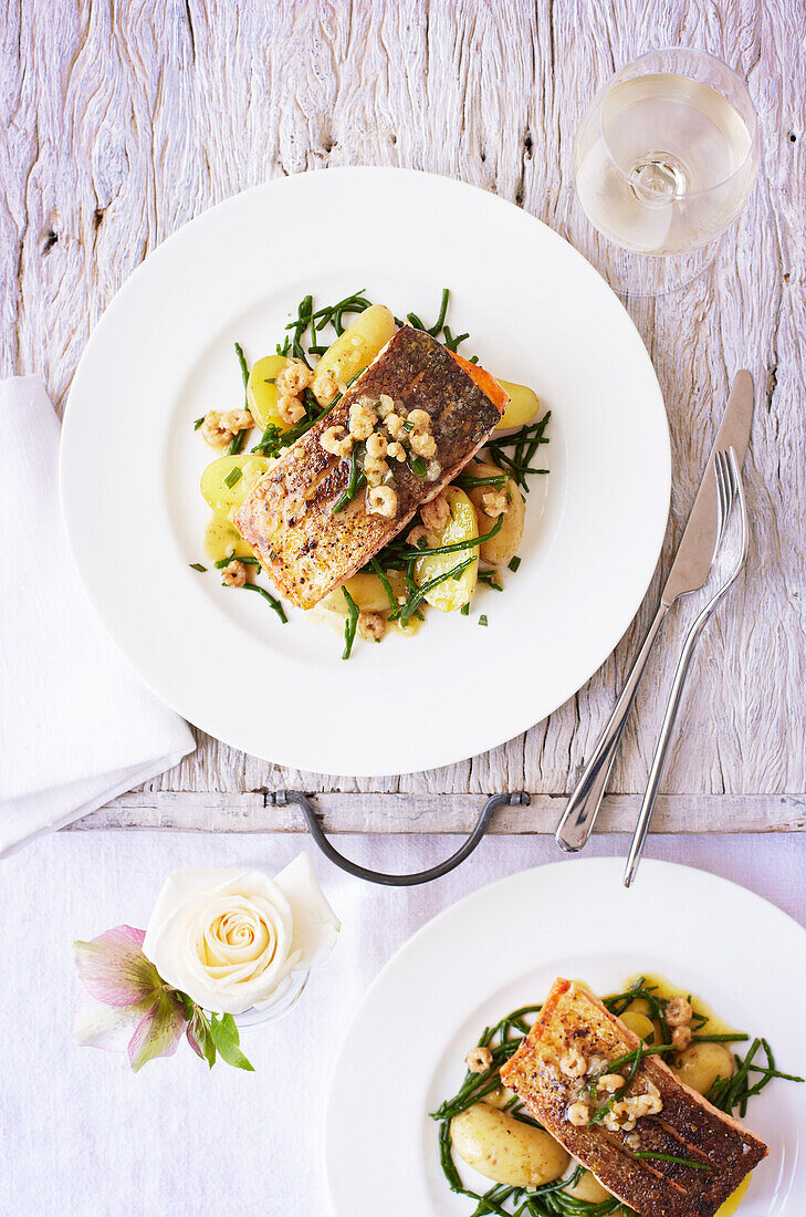 Sea trout with sea fennel, shrimp, and lemon