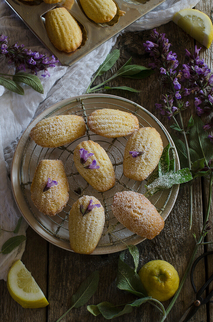 Zitronen-Madeleines mit Salbei