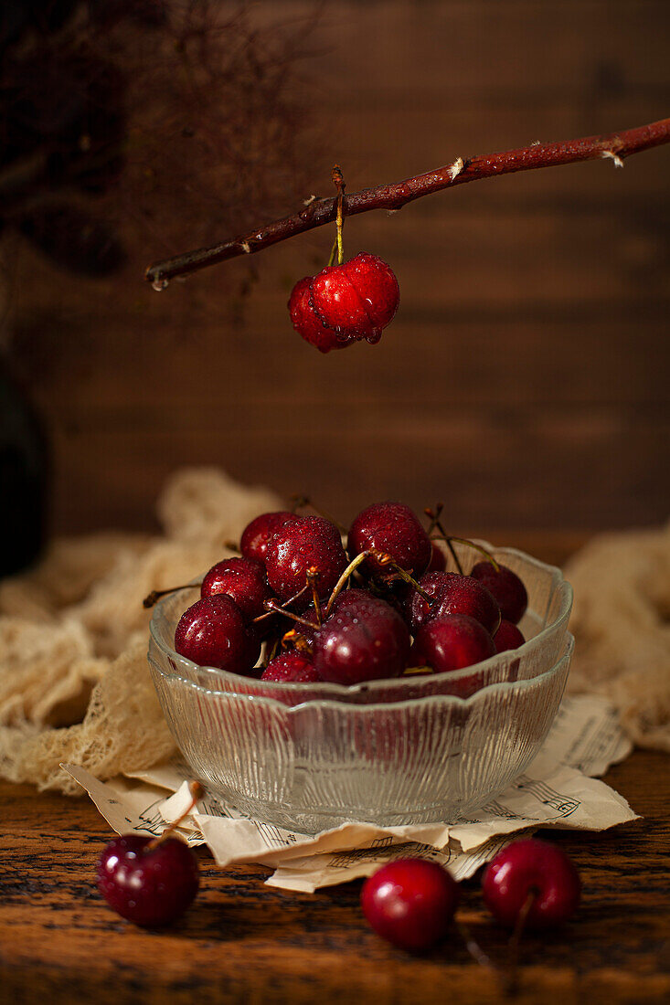 A bowl of fresh cherries with a couple of cherries hanging over a branch