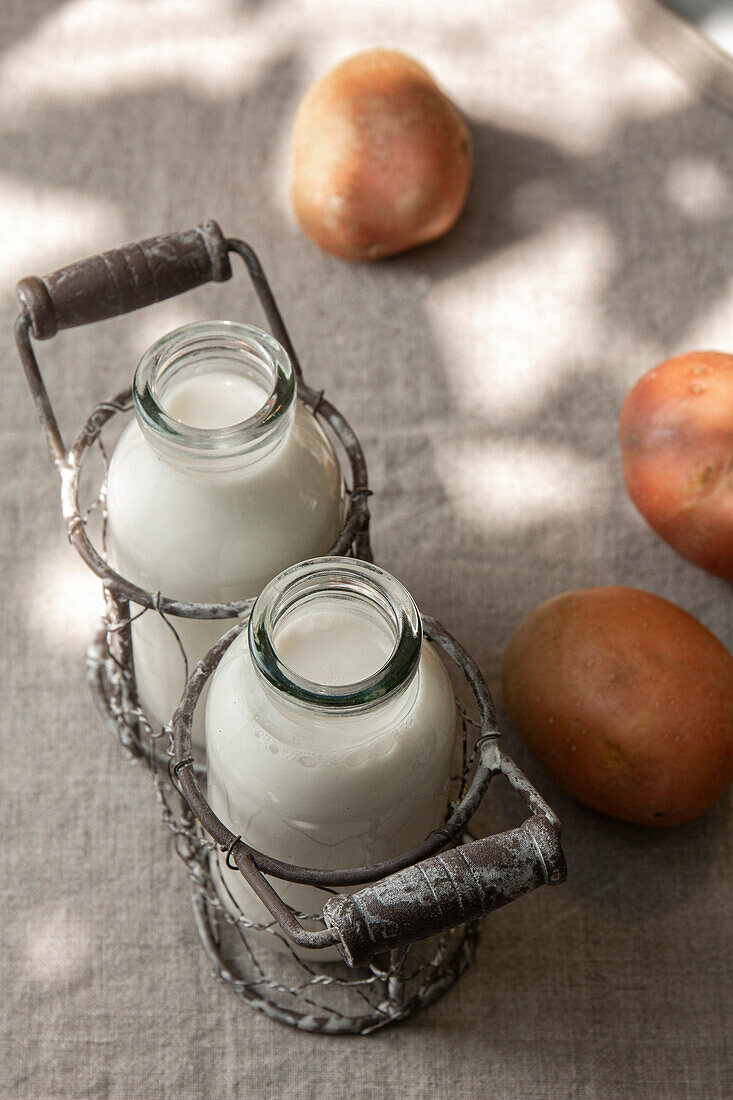 Potato milk in bottle and potatoes on the table in garden