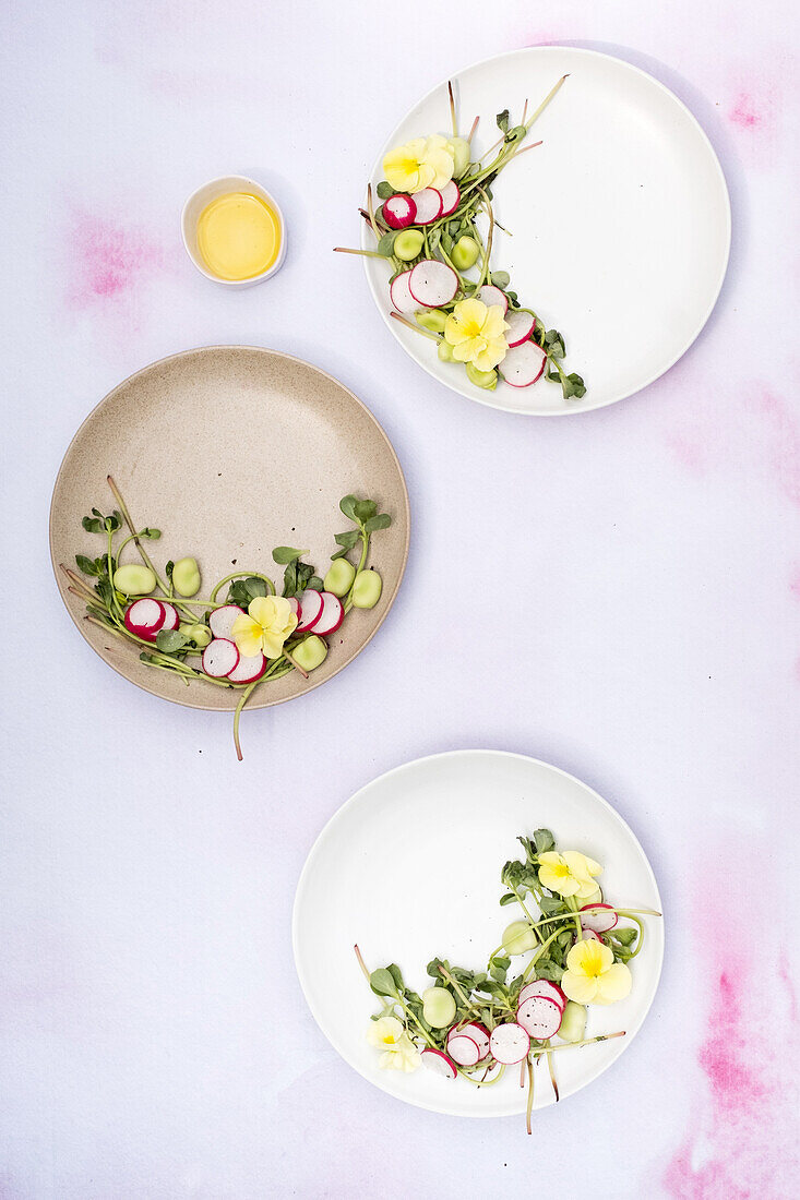 Various vegetarian herb and radish salads garnished with flowers