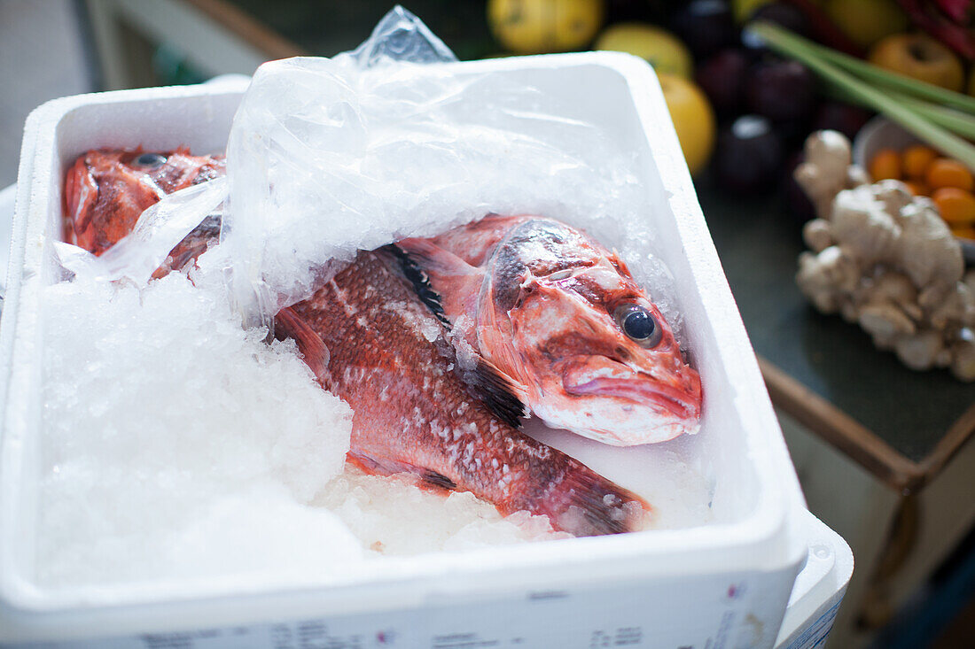 Fresh fish on ice in a polystyrene box